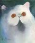 Cat Gallery Button
