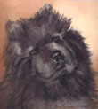 chow painting