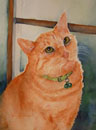 Yellow Tabby Cat Painting