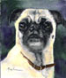pug painting