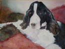 English Springer Spaniel Painting